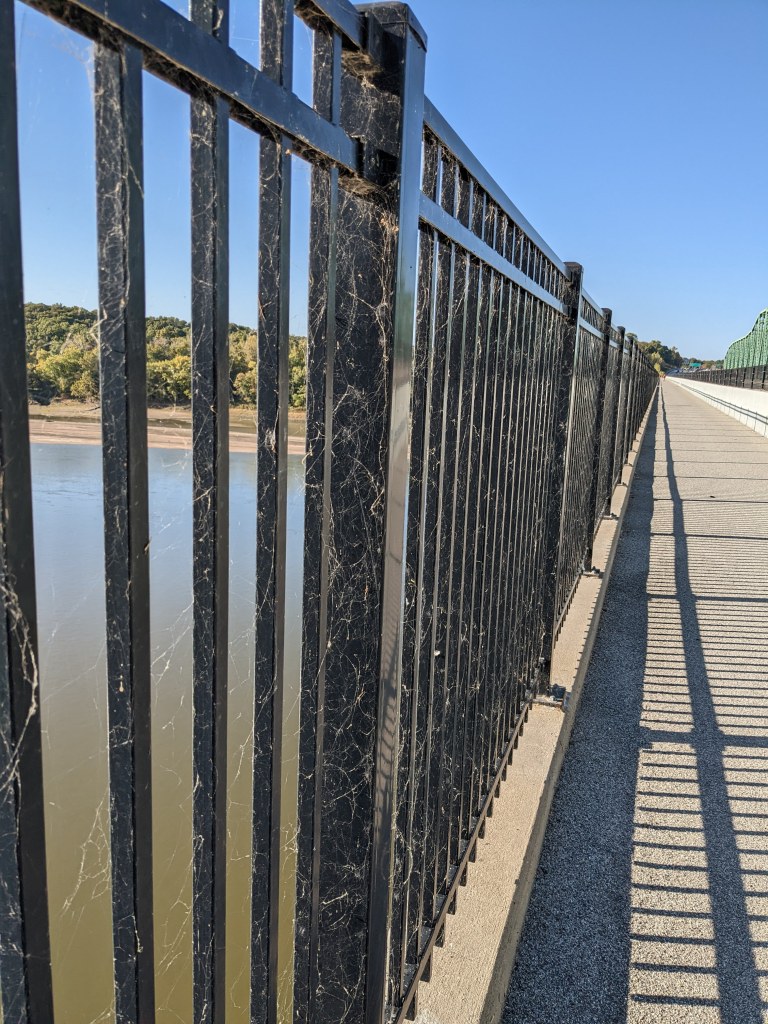 Spider webs along bridge